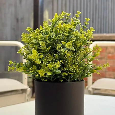 Apartment The Sandstone - 5 Min From Southmead Hospital Bristol