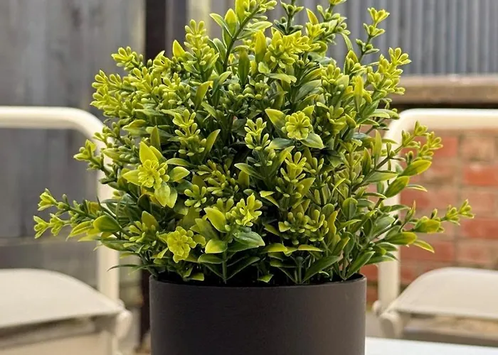 Apartment The Sandstone - 5 Min From Southmead Hospital Bristol